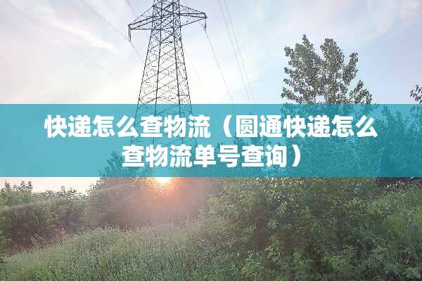 快递怎么查物流（圆通快递怎么查物流单号查询）