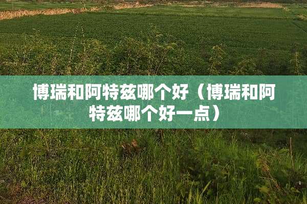 博瑞和阿特兹哪个好（博瑞和阿特兹哪个好一点）