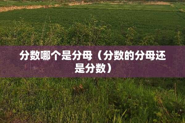 分数哪个是分母（分数的分母还是分数）