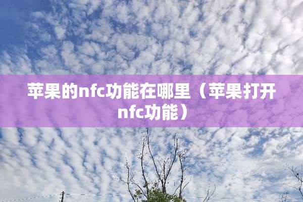 苹果的nfc功能在哪里（苹果打开nfc功能）