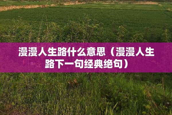 漫漫人生路什么意思（漫漫人生路下一句经典绝句）