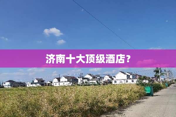 济南十大顶级酒店？