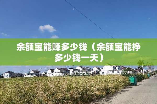余额宝能赚多少钱（余额宝能挣多少钱一天）