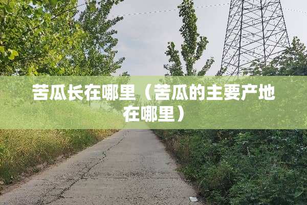 苦瓜长在哪里（苦瓜的主要产地在哪里）