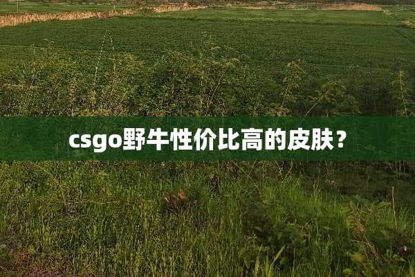 csgo野牛性价比高的皮肤？