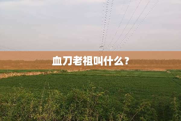 血刀老祖叫什么？