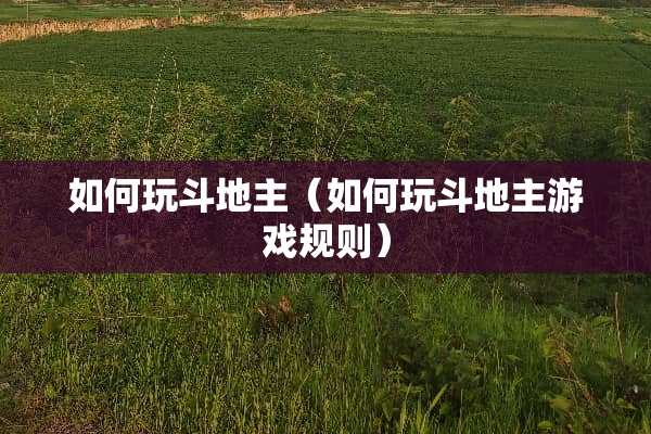 如何玩***（如何玩***游戏规则）