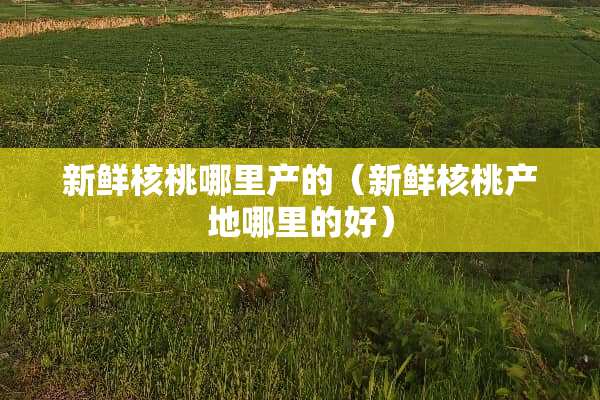 新鲜核桃哪里产的（新鲜核桃产地哪里的好）