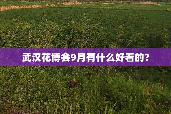 武汉花博会9月有什么好看的？