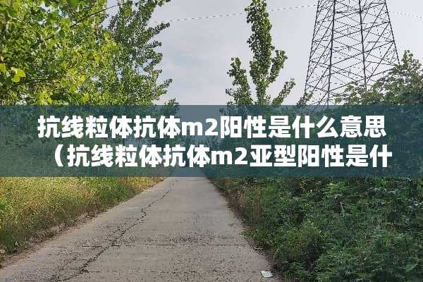 抗线粒体抗体m2阳性是什么意思（抗线粒体抗体m2亚型阳性是什么意思）