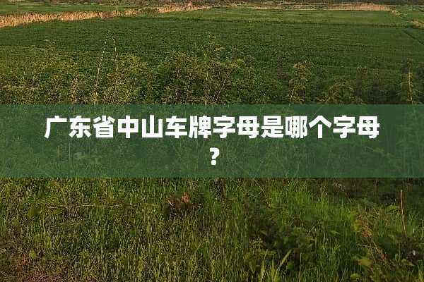 广东省中山车牌字母是哪个字母？