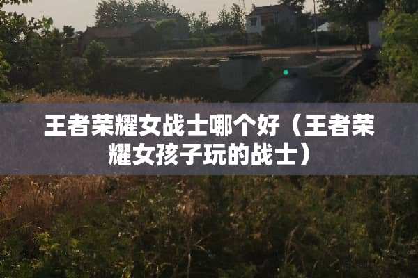 王者荣耀女战士哪个好（王者荣耀女孩子玩的战士）