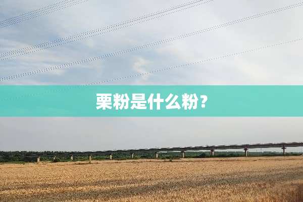 栗粉是什么粉？
