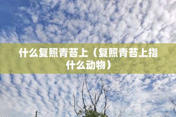 什么复照青苔上（复照青苔上指什么动物）