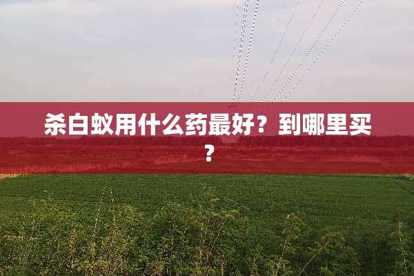 杀白蚁用什么药最好？到哪里买？