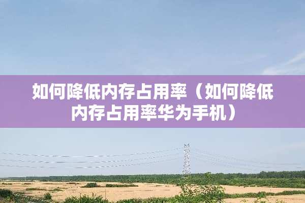 如何降低内存占用率（如何降低内存占用率华为手机）