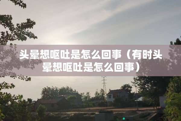 头晕想呕吐是怎么回事（有时头晕想呕吐是怎么回事）