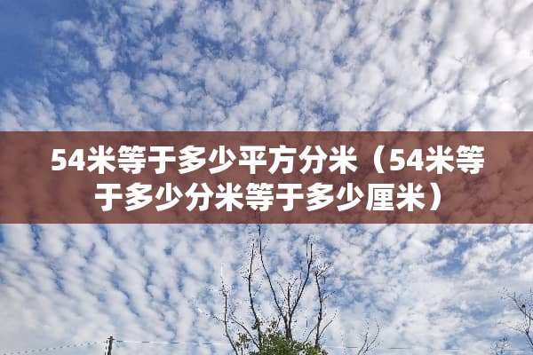54米等于多少平方分米（54米等于多少分米等于多少厘米）