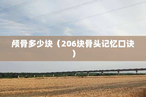 颅骨多少块（206块骨头记忆口诀）
