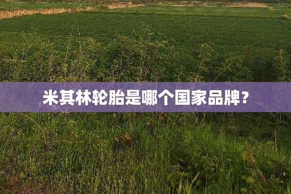 米其林轮胎是哪个国家品牌？