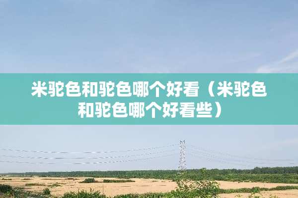 米驼色和驼色哪个好看（米驼色和驼色哪个好看些）