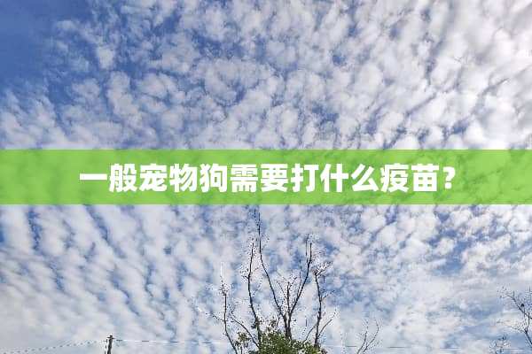 一般宠物狗需要打什么**？