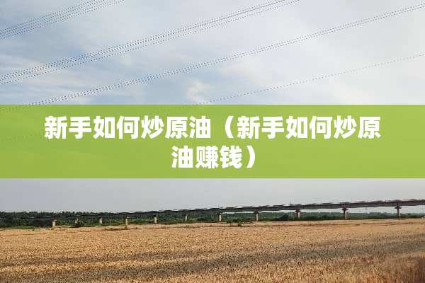 新手如何炒原油（新手如何炒原油赚钱）