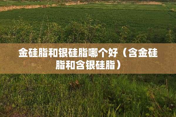 金硅脂和银硅脂哪个好（含金硅脂和含银硅脂）