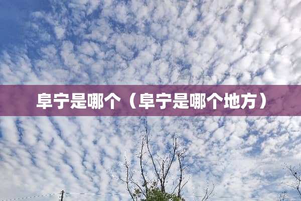 阜宁是哪个（阜宁是哪个地方）
