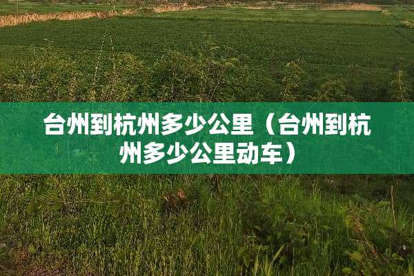 台州到杭州多少公里（台州到杭州多少公里动车）