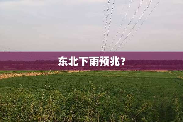 东北下雨预兆？
