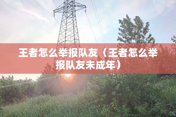 王者怎么举报队友（王者怎么举报队友未成年）