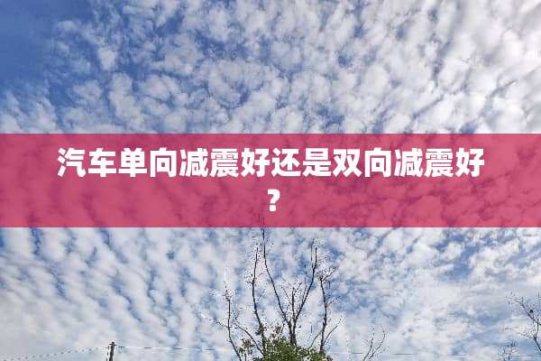 汽车单向减震好还是双向减震好？