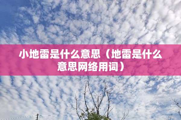 小地雷是什么意思（地雷是什么意思网络用词）