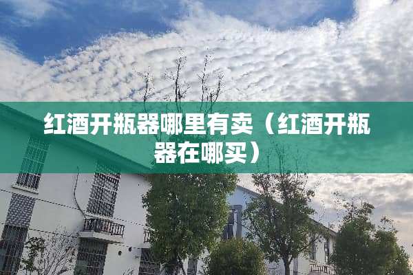 红酒开瓶器哪里有卖（红酒开瓶器在哪买）