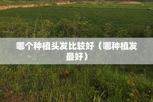 哪个种植头发比较好（哪种植发最好）