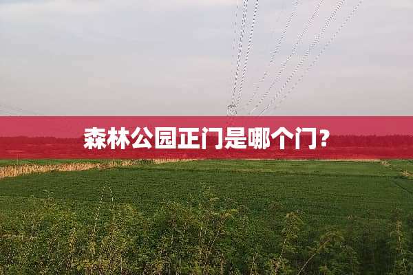 森林公园正门是哪个门？