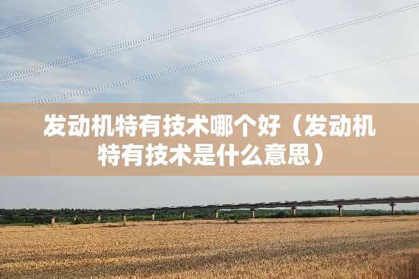 发动机特有技术哪个好（发动机特有技术是什么意思）