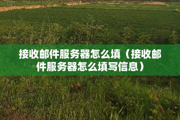 接收邮件服务器怎么填（接收邮件服务器怎么填写信息）