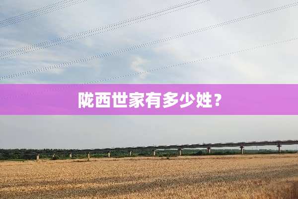 陇西世家有多少姓？