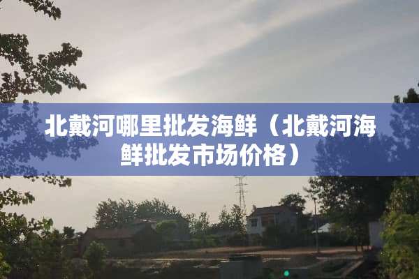北戴河哪里批发海鲜（北戴河海鲜批发市场价格）