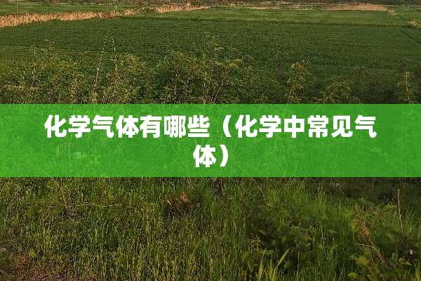 化学气体有哪些（化学中常见气体）