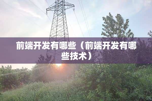 前端开发有哪些（前端开发有哪些技术）