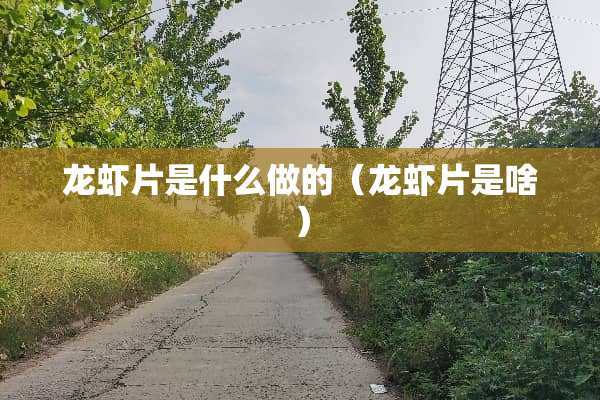 龙虾片是什么做的（龙虾片是啥）
