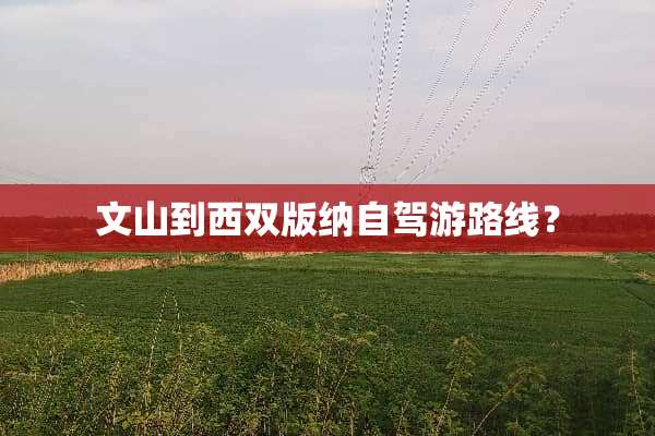 文山到西双版纳自驾游路线？