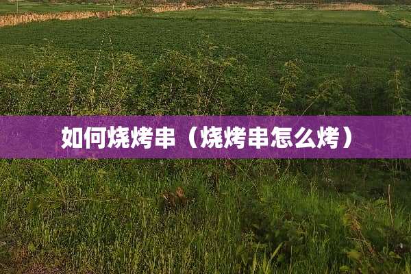 如何烧烤串（烧烤串怎么烤）