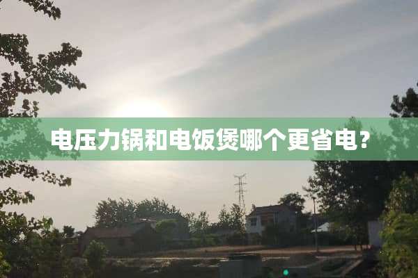 电压力锅和电饭煲哪个更省电？