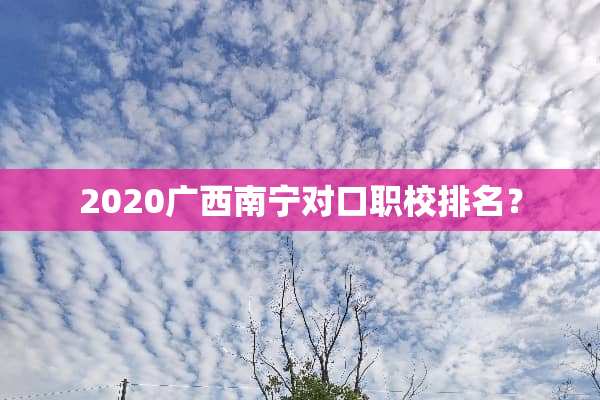2020广西南宁对口职校排名？