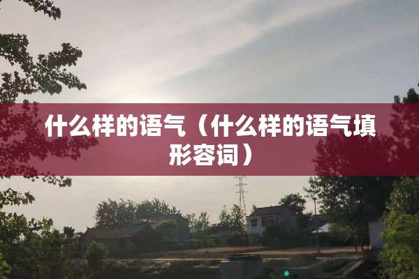 什么样的语气（什么样的语气填形容词）