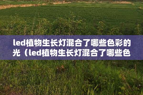 led植物生长灯混合了哪些色彩的光（led植物生长灯混合了哪些色彩的光效）